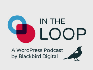 In the Loop Podcast